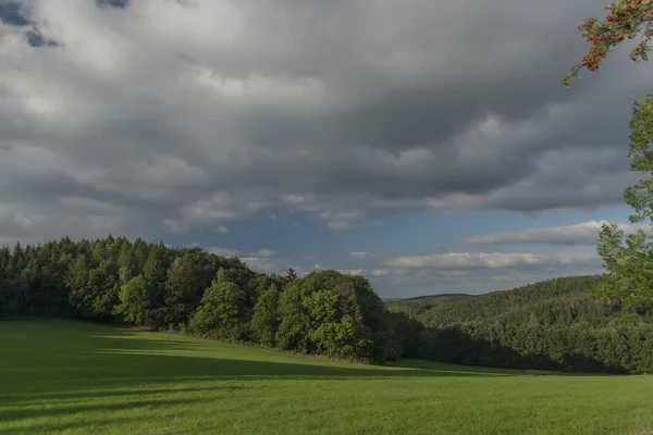 Wiese und Wald bei Oelsen — Stockfoto