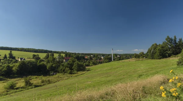 Weide nabij Kovarska dorp in de zomer — Stockfoto
