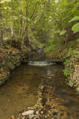 Krasetinsky deresi, sonbahar sabahı Kremzsky deresi ile demiryolu köprüsü altında kesişme noktasında.