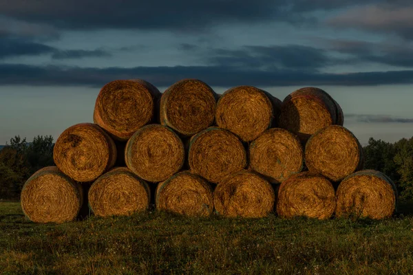 Bolas Heno Campo Cerca Ciudad Ceske Budejovice Hora Del Amanecer — Foto de Stock