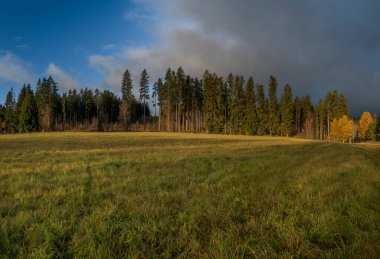 Ormanın yakınında gün doğumu ve ulusal parkın merkezine giden yol. Gökyüzü bulutlu, Sumava.