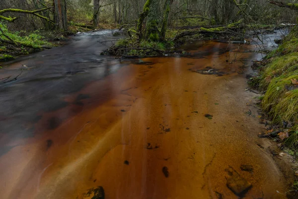 Jezerni Creek Autumn Color Morning Red Water Green Beautiful Forest — Stock Photo, Image