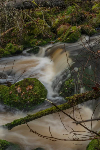 Jezerni Creek Podzimním Barevném Ránu Divokým Vodopádem Srážkách Národním Parku — Stock fotografie