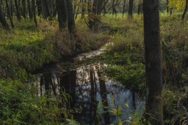 Sonbaharda güneşli ve güneşli bir akşamda Utery kasabası yakınlarında renkli ağaçlar ve çayırlar olan Utersky deresi.