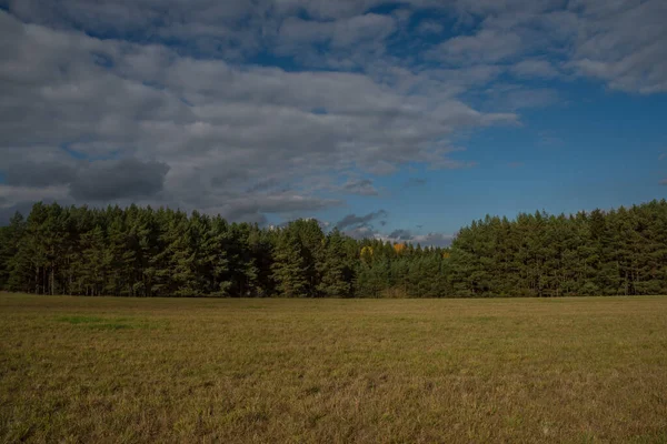 Weide Weiland Buurt Van Bezdruzice Konstantinovy Lazne Kuuroorden Bewolkte Herfstdag — Stockfoto