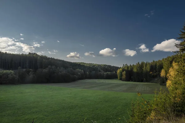 Stora Färgängar Och Skog Med Solnedgång Himmel Nära Utery Stad — Stockfoto