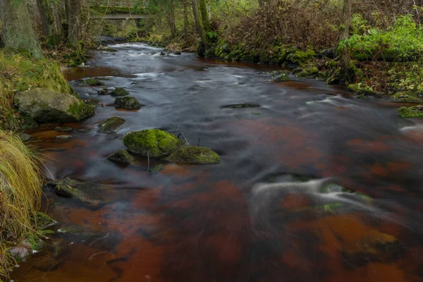 Езерный Ручей Осенним Цветом Утром Красной Водой Зеленым Красивым Лесом — стоковое фото