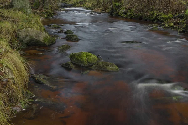 Jezerni Bach Herbst Farbmorgen Mit Rotem Wasser Und Grünen Schönen — Stockfoto