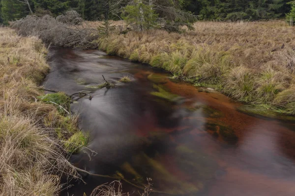Jezerni Bach Herbstlichen Farbmorgen Mit Rotem Wasser Und Trockenem Gras — Stockfoto