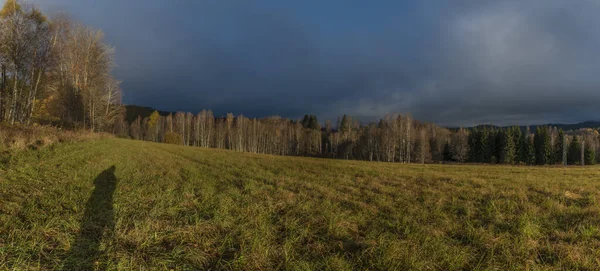 Sonnenaufgang Der Nähe Von Wald Und Pfad Zum Zentrum Des — Stockfoto