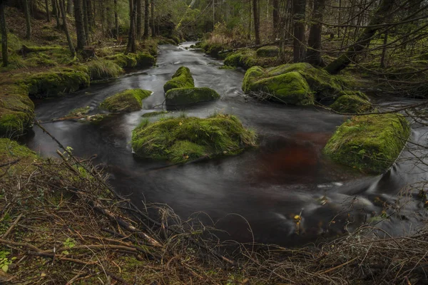 Creek Jezerni Manhã Cor Outono Com Água Vermelha Floresta Bonita — Fotografia de Stock