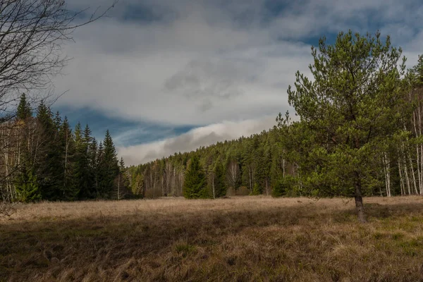 구름낀 지르니 근처에서 여름이 건기가 — 스톡 사진