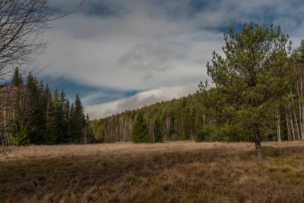 Wiese Mit Trockenem Gras Nach Dem Sommer Bach Jezerni Herbst — Stockfoto