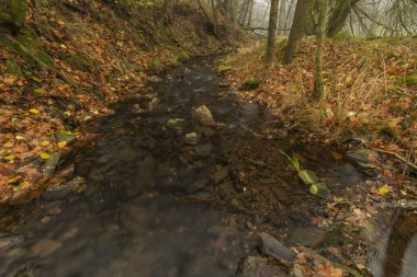 Krusne dağlarındaki Petrovice köyü yakınlarındaki Olsovy deresi sonbahar bulutlu sabahında