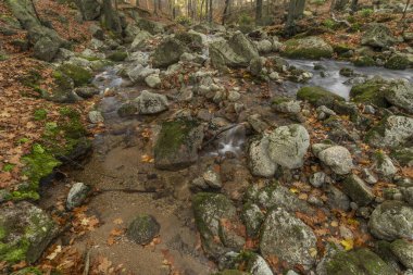 Velky Cerny Stolpich Deresi sonbahar sabahında Jizerske dağlarında taze soğuk bir sabah