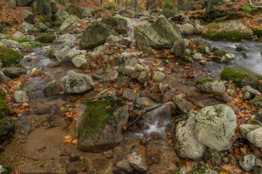 Velky Cerny Stolpich Deresi sonbahar sabahında Jizerske dağlarında taze soğuk bir sabah