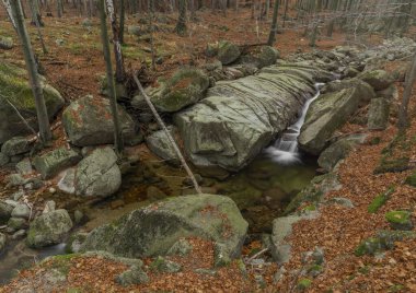 Velky Cerny Stolpich Deresi sonbahar sabahında Jizerske dağlarında taze soğuk bir sabah