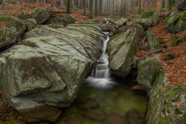 Velky Cerny Stolpich Deresi sonbahar sabahında Jizerske dağlarında taze soğuk bir sabah
