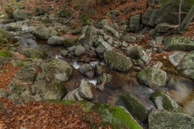 Velky Cerny Stolpich Deresi sonbahar sabahında Jizerske dağlarında taze soğuk bir sabah