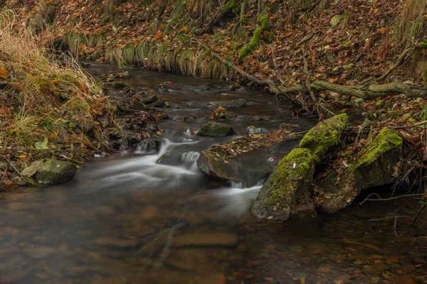 Olšovský Potok Obce Petrovice Krkonoších Podzimním Oblačném Ránu — Stock fotografie