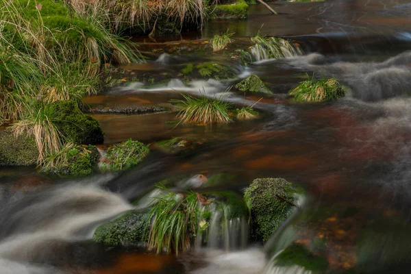 Jezerni Creek Autumn Color Morning Red Water Green Beautiful Forest — Stock Photo, Image