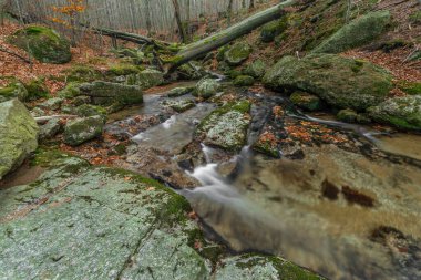 Maly Billy Stolpich Şelalesi sonbahar sabahında Jizerske dağlarında taze soğuk bir sabah