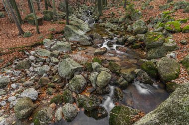 Velky Cerny Stolpich Deresi sonbahar sabahında Jizerske dağlarında taze soğuk bir sabah