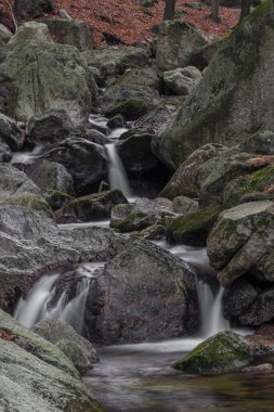 Velky Cerny Stolpich Deresi sonbahar sabahında Jizerske dağlarında taze soğuk bir sabah