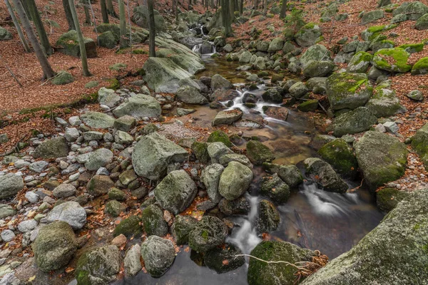 Velky Cerny Stolpich Deresi sonbahar sabahında Jizerske dağlarında taze soğuk bir sabah