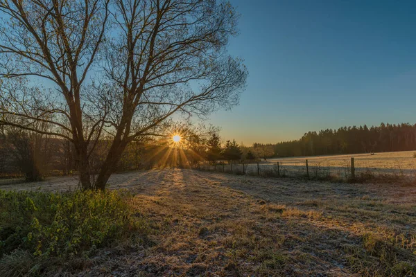 Bäume Und Pfad Bei Sonnenaufgang Der Nähe Des Dorfes Rozmberk — Stockfoto