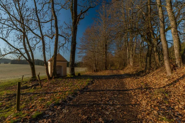 Kapelle Weg Zum Dorf Rybnik Mit Farbigem Sonnenaufgangslicht Und Frostiger — Stockfoto