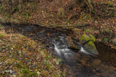 Krusne dağlarındaki Petrovice köyü yakınlarındaki Olsovy deresi sonbahar bulutlu sabahında