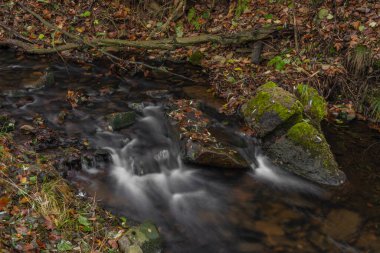 Krusne dağlarındaki Petrovice köyü yakınlarındaki Olsovy deresi sonbahar bulutlu sabahında