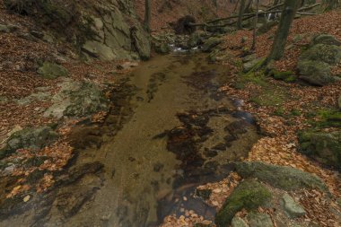 Maly Billy Stolpich Şelalesi sonbahar sabahında Jizerske dağlarında taze soğuk bir sabah