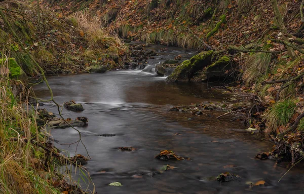 Olsovy Riacho Perto Petrovice Aldeia Krusne Montanhas Outono Manhã Nublada — Fotografia de Stock