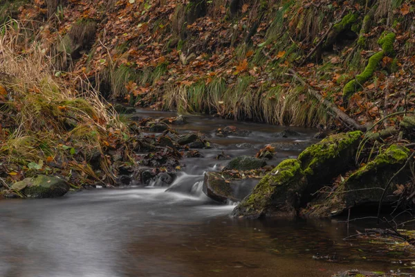 Olsovy Bach Der Nähe Von Petrovice Dorf Krusne Gebirge Herbst — Stockfoto