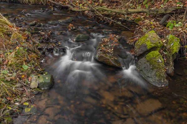 Olsovy Riacho Perto Petrovice Aldeia Krusne Montanhas Outono Manhã Nublada — Fotografia de Stock