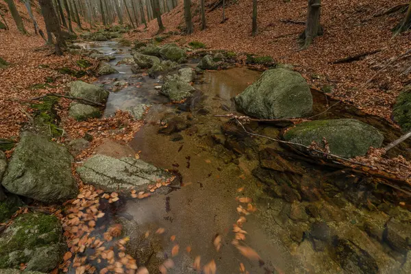 Maly Bily Stolpich Wasserfall Herbst Frischer Kalter Morgen Isergebirge — Stockfoto