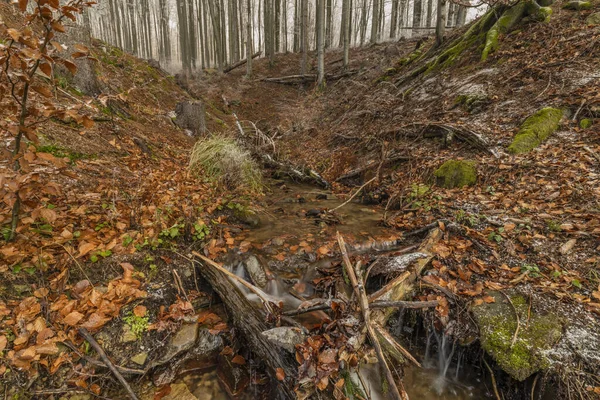 Водоспад Під Кернавою Сході Моравії Восени Зимовий Холодний День — стокове фото