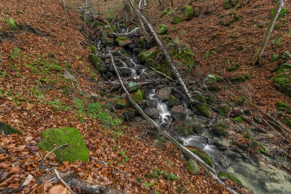 Cascata Torrente Bystricka Vicino Bystrice Pod Hostynem Città Nella Moravia — Foto Stock