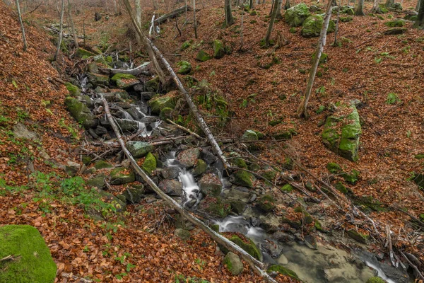 Cascade Patak Bystricka Közelében Bystrice Pod Hostynem Város Kelet Morvaországban — Stock Fotó