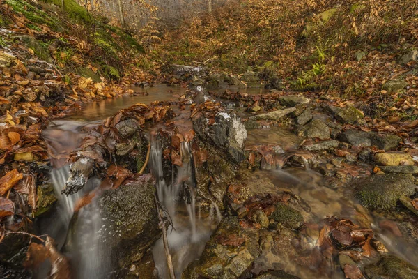 Водопад Чернавой Восточной Моравии Осенью Зимний День Холодного Цвета — стоковое фото