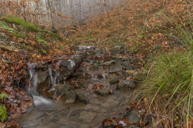 Sonbaharda Moravya 'nın doğusunda Cernava Şelalesi soğuk kış günlerinde