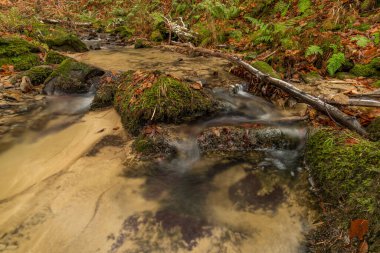 Bystrice kapsülü yakınlarındaki Cascade ve Creek Bystricka soğuk sonbahar gününde doğu Moravya 'daki Hostynem kasabası