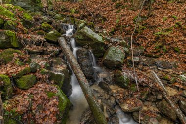 Bystrice kapsülü yakınlarındaki Cascade ve Creek Bystricka soğuk sonbahar gününde doğu Moravya 'daki Hostynem kasabası
