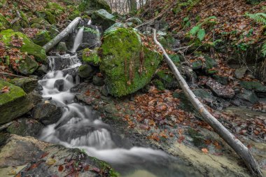 Bystrice kapsülü yakınlarındaki Cascade ve Creek Bystricka soğuk sonbahar gününde doğu Moravya 'daki Hostynem kasabası