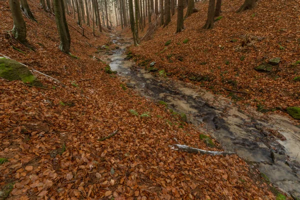 Cascade and creek Bystricka near Bystrice pod Hostynem town in east Moravia in cold autumn day