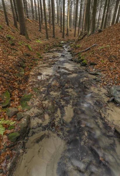 Cascada Arroyo Bystricka Cerca Bystrice Pod Hostynem Ciudad Este Moravia — Foto de Stock