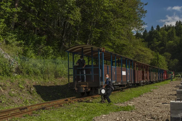 ポーランド東部の夏の乗客を持つマダン駅の狭軌鉄道 — ストック写真