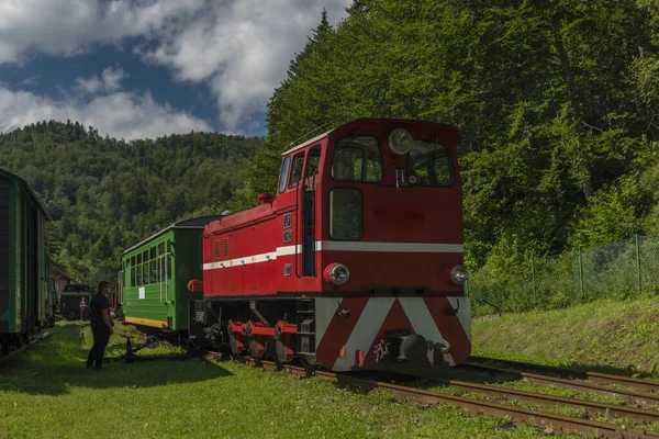 ポーランド東部の夏の乗客を持つマダン駅の狭軌鉄道 — ストック写真